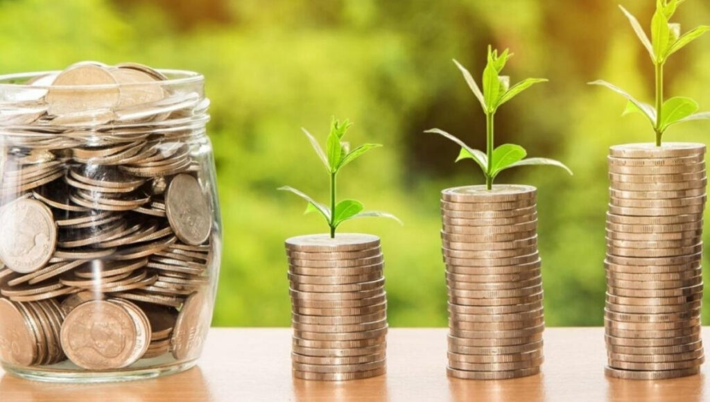 Top Small Cap Mutual Funds