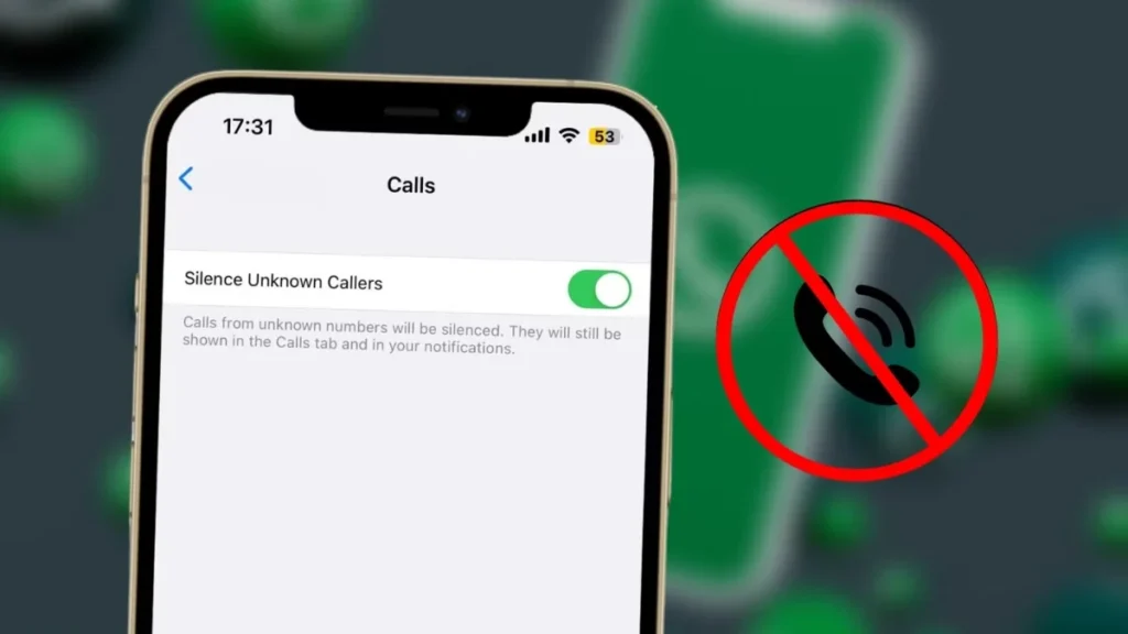 WhatsApp Privacy Feature